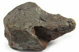 Canyon Diablo Iron Meteorite ( g) - Arizona #270510-1